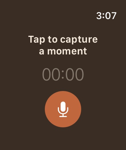 Recording on Apple Watch